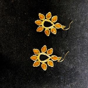 Kendra Scott Rare Tiger Eye Pendant earrings